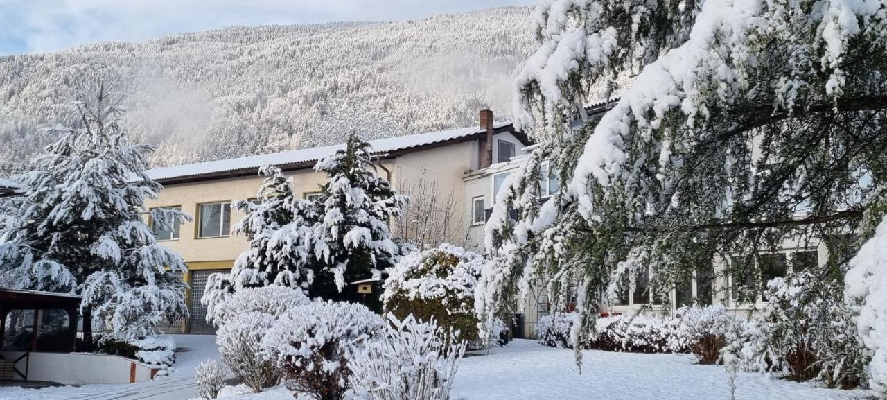 APARTMENT WILD - im Skigebiet Gerlitzen&Ossiacher See Bodensdorf Exterior foto